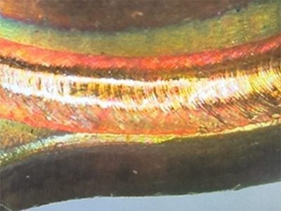 ca888亚洲城激光官网